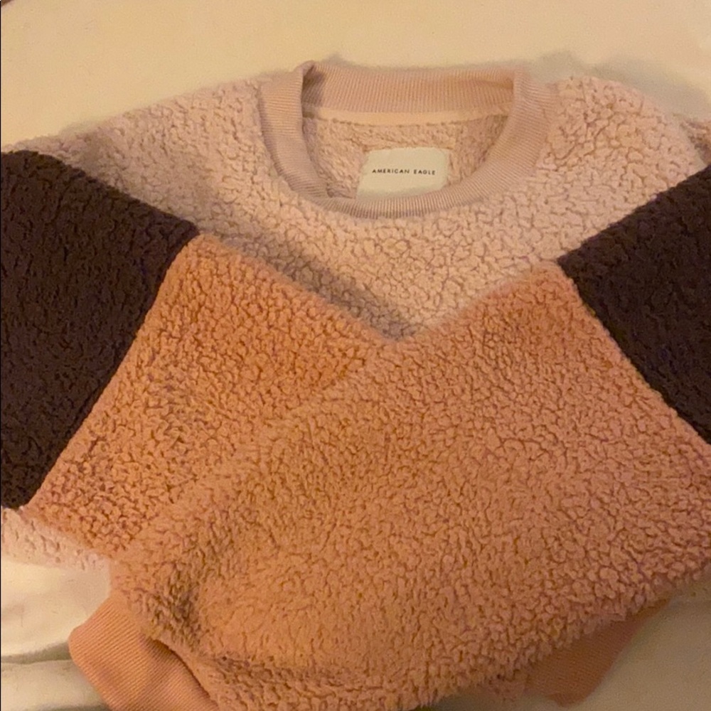 American Eagle Teddy Hoodie Colorblock